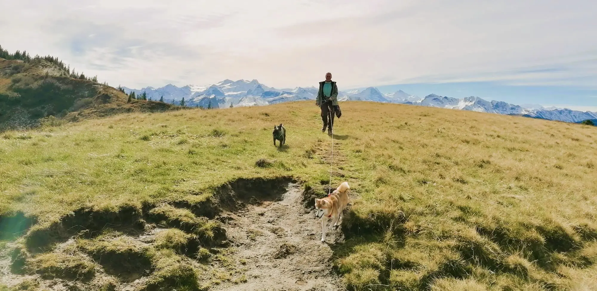 Daniela wandert mit Ayumi und Kostas über einen Berggrat, dahinter öffnet sich das Panorama der Alpen.