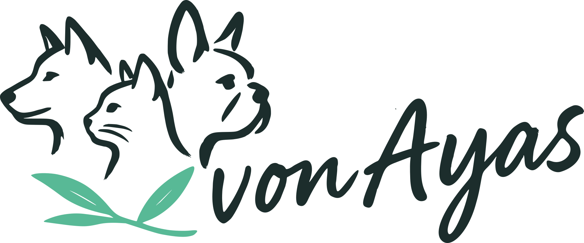 vonAyas