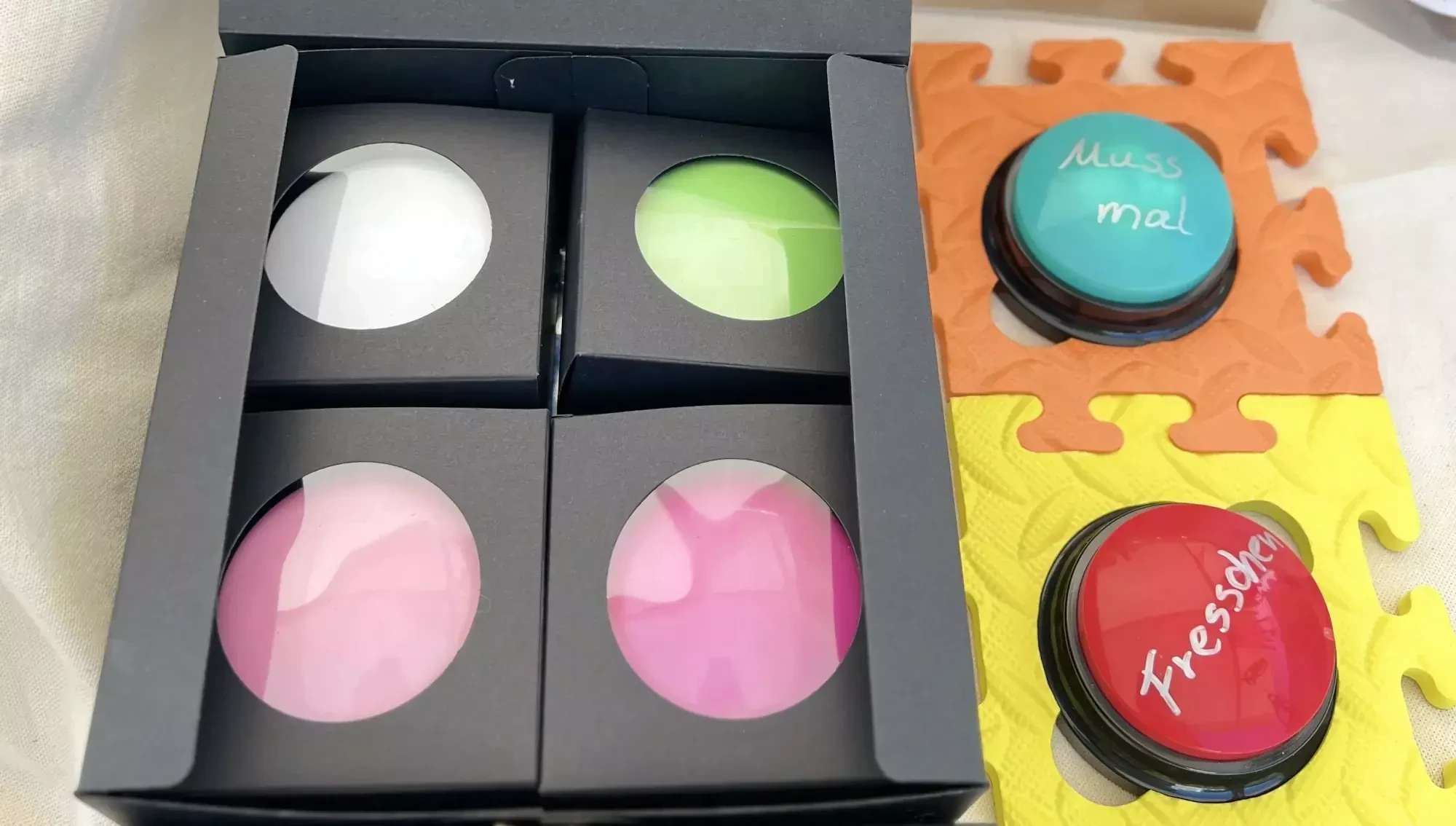 Vier bunte Sprechtasten im Set zur Kommunikation mit Hunden, verpackt in schwarzer Box