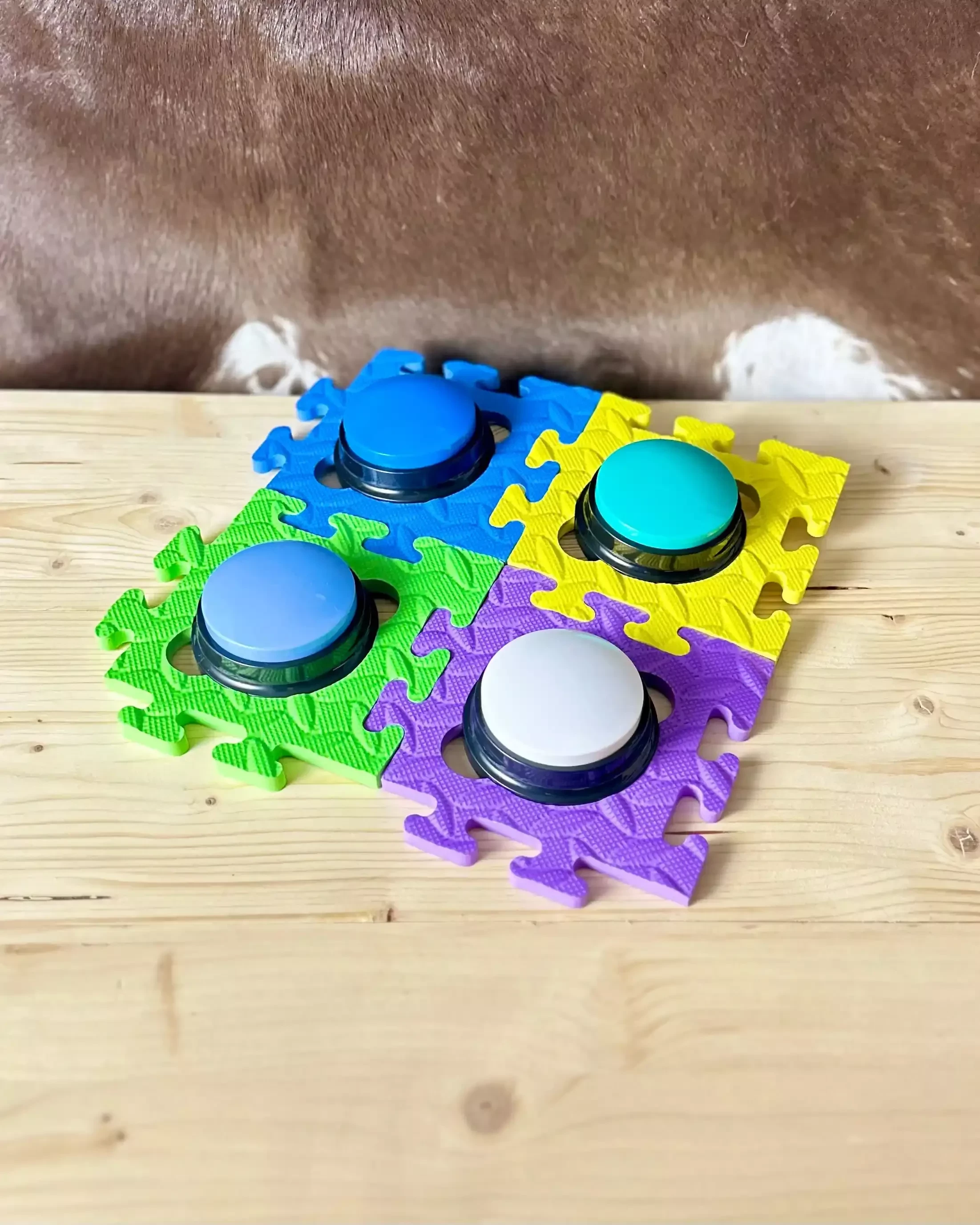 Sprechtasten Set Klarheit für Hunde mit vier farbigen Tasten auf verbundenen Matten