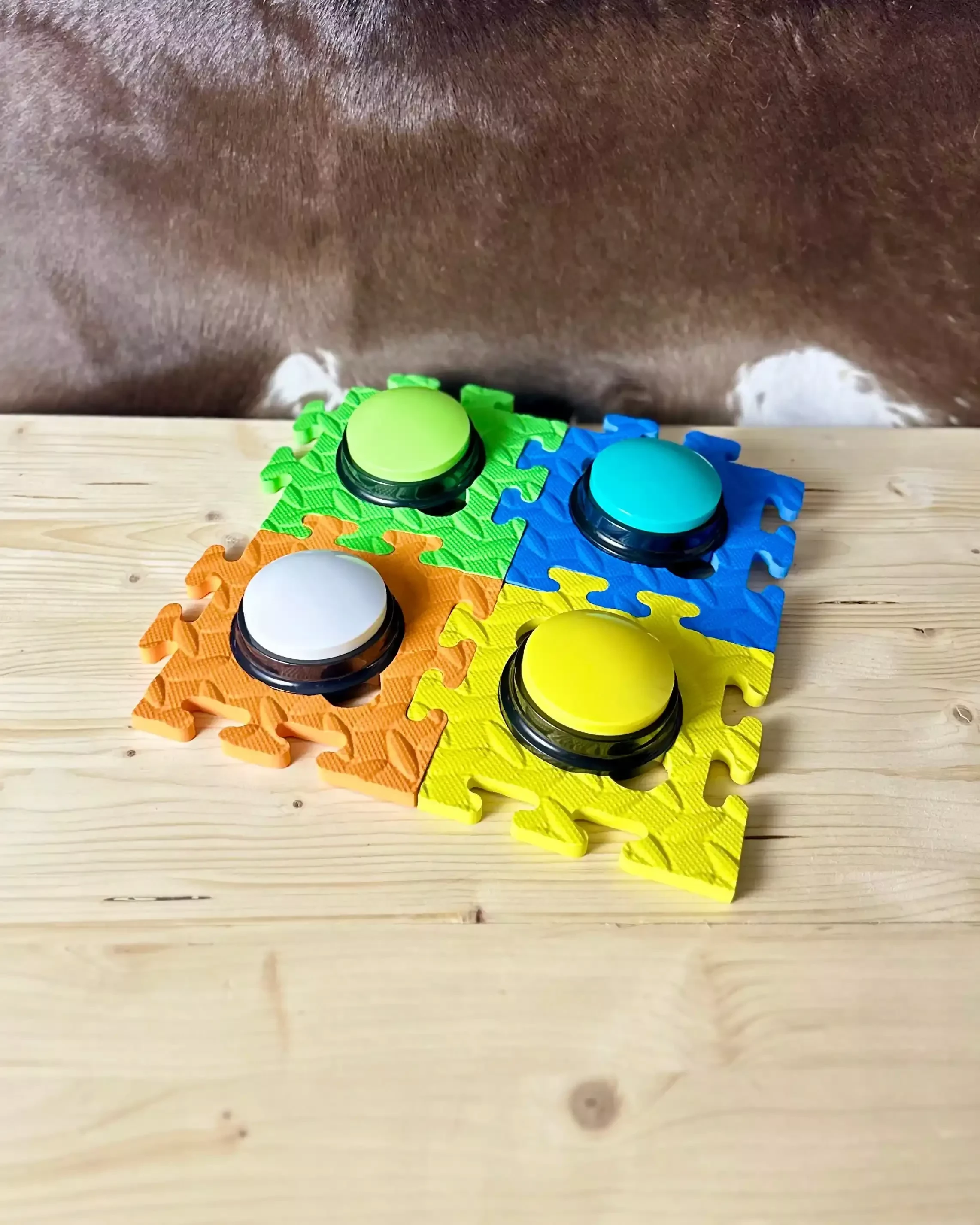 Sprechtasten Set Miteinander für Hunde mit vier farbigen Tasten auf verbundenen Matten