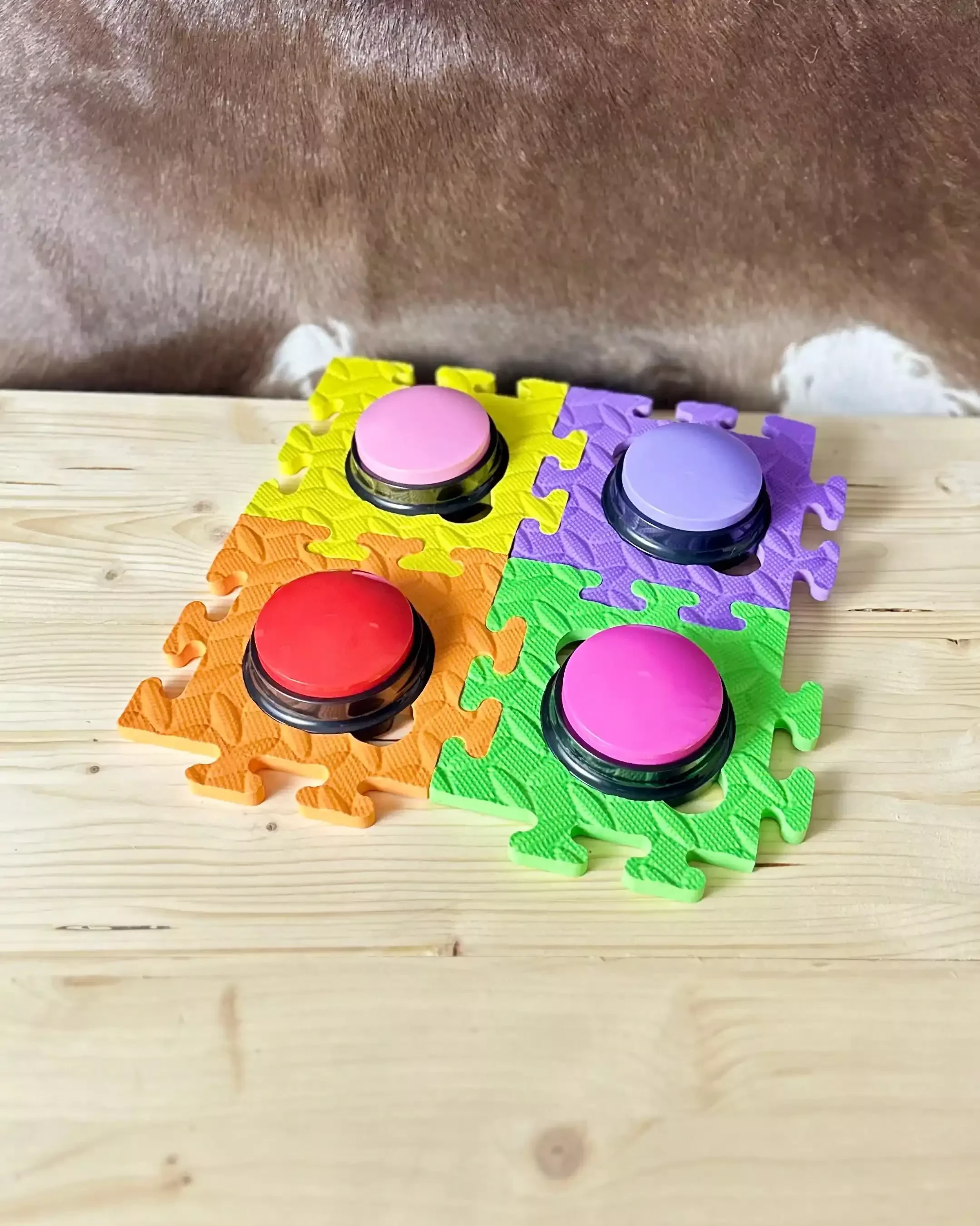 Sprechtasten Set Vertrauen für Hunde mit vier farbigen Tasten auf verbundenen Matten