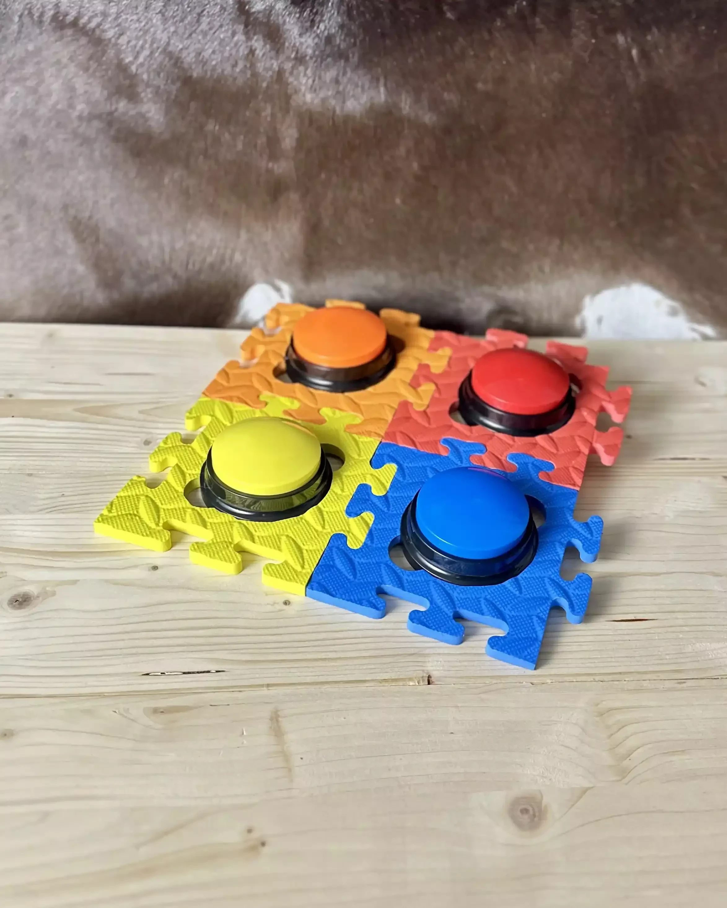 Sprechtasten Set Impuls für Hunde mit vier farbigen Tasten auf verbundenen Matten