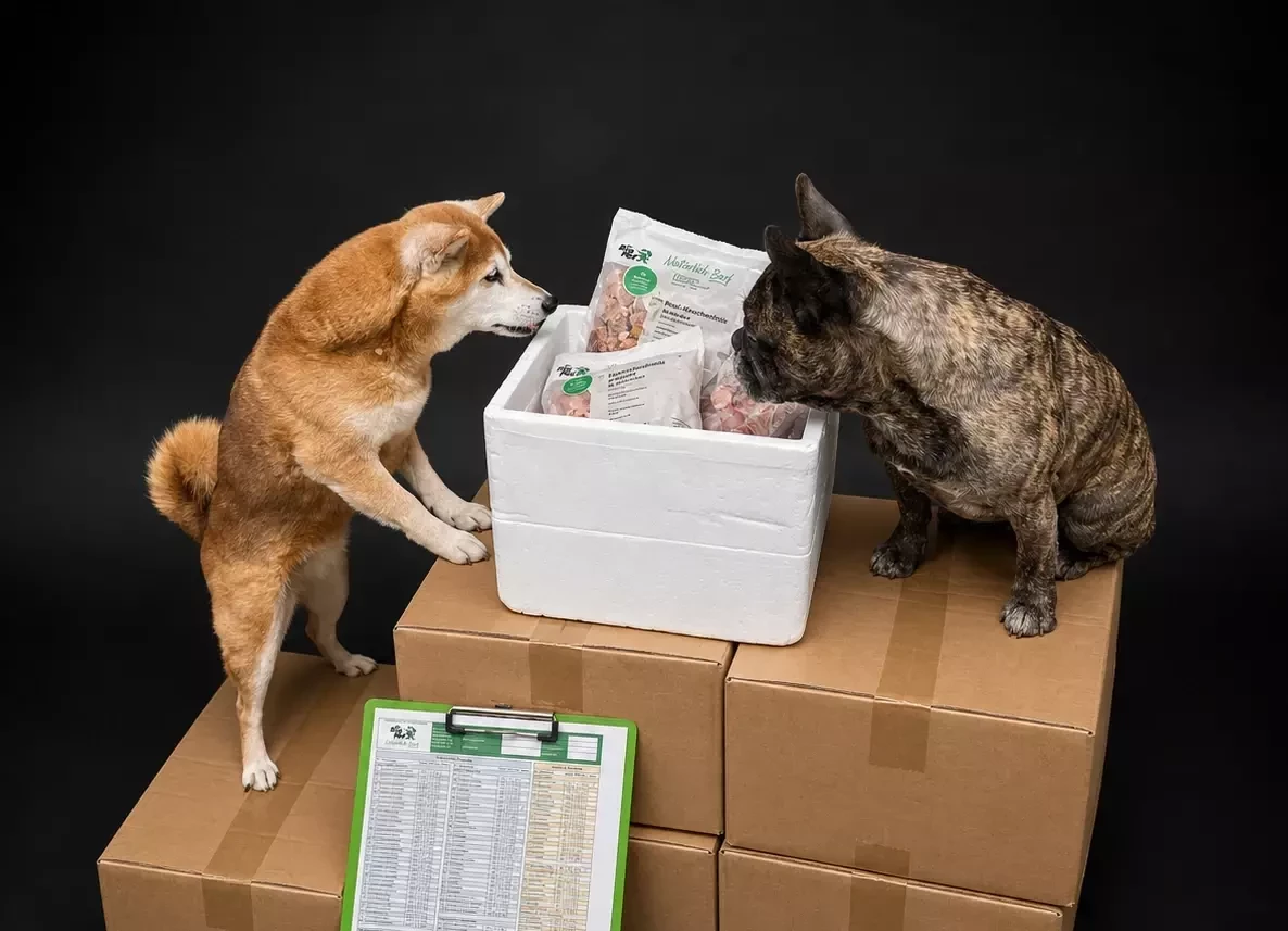 Zwei Hunde stehen neben einer Styroporbox mit BARF-Produkten von BigPet auf Kartons, davor liegt eine Bestellliste auf einem Klemmbrett.