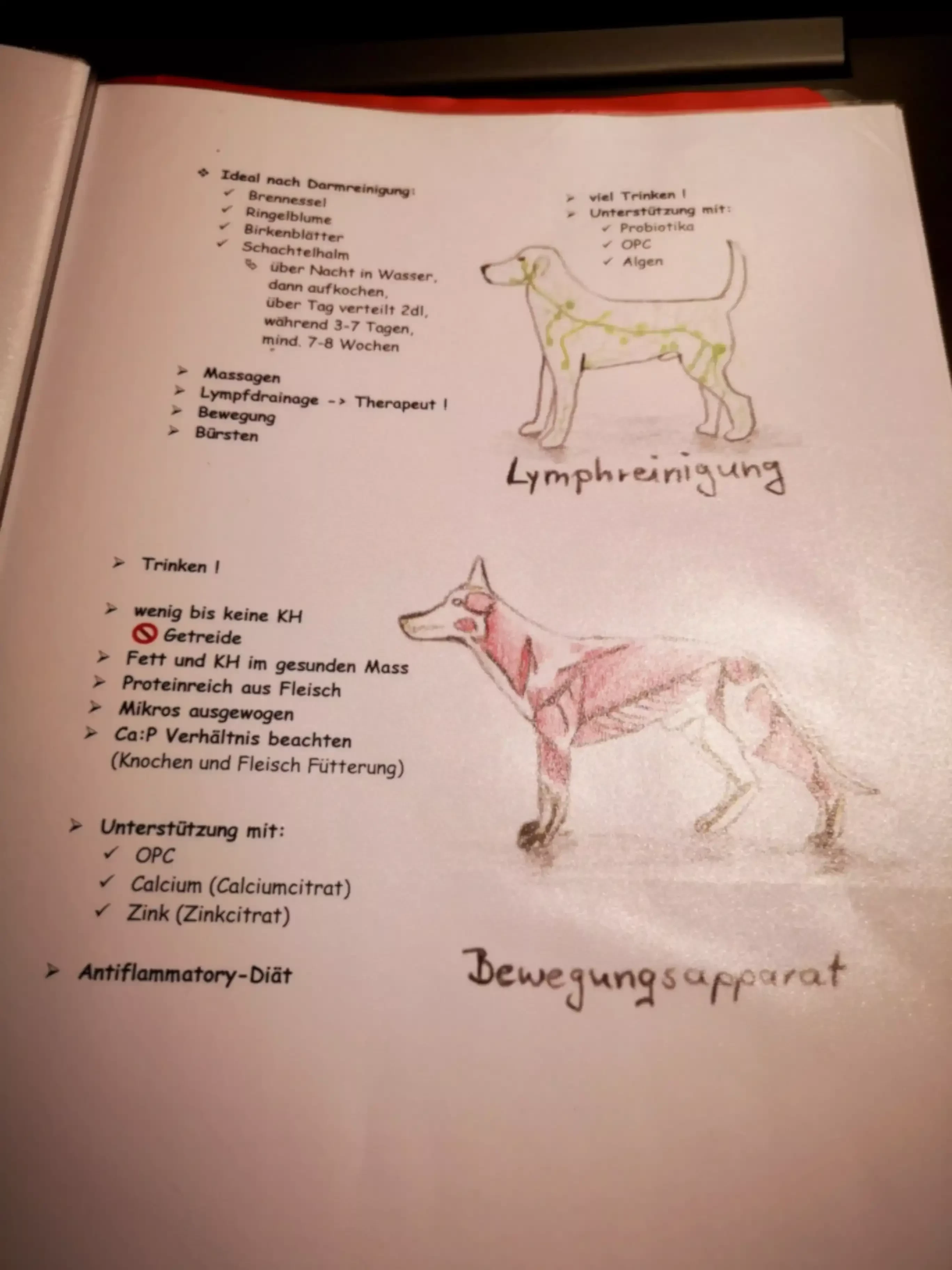 Aufgeschlagene Ausbildungsunterlagen mit handschriftlichen Notizen